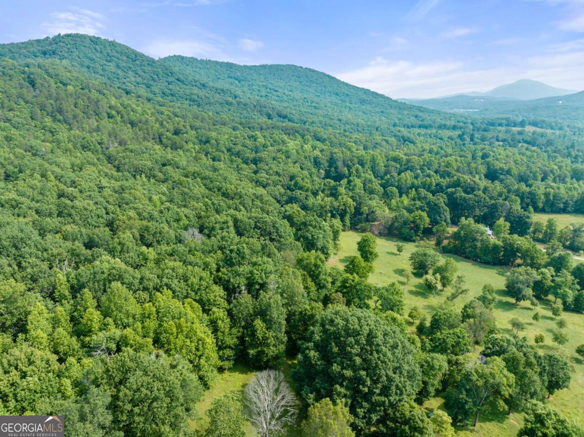 Forest Ridge Estates - Land