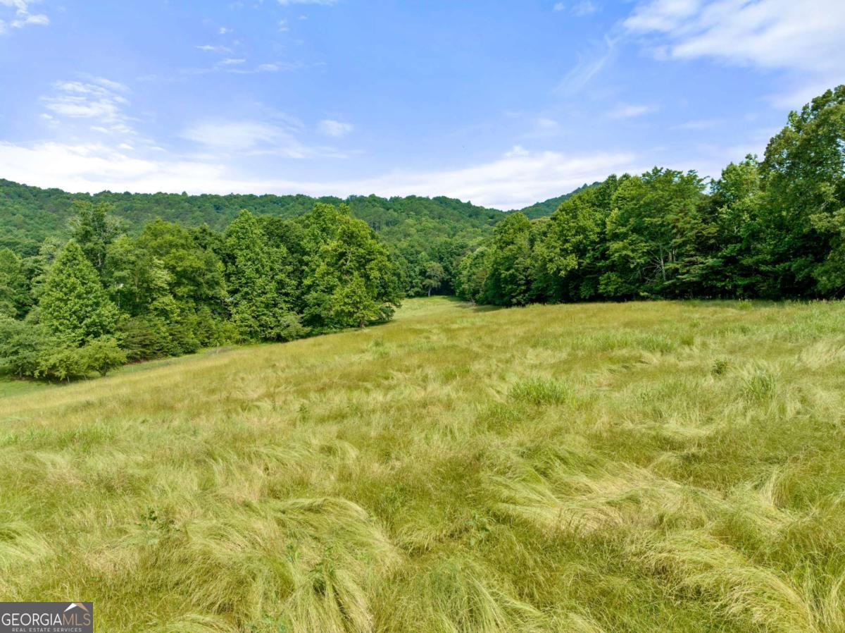 Forest Ridge Estates - Land