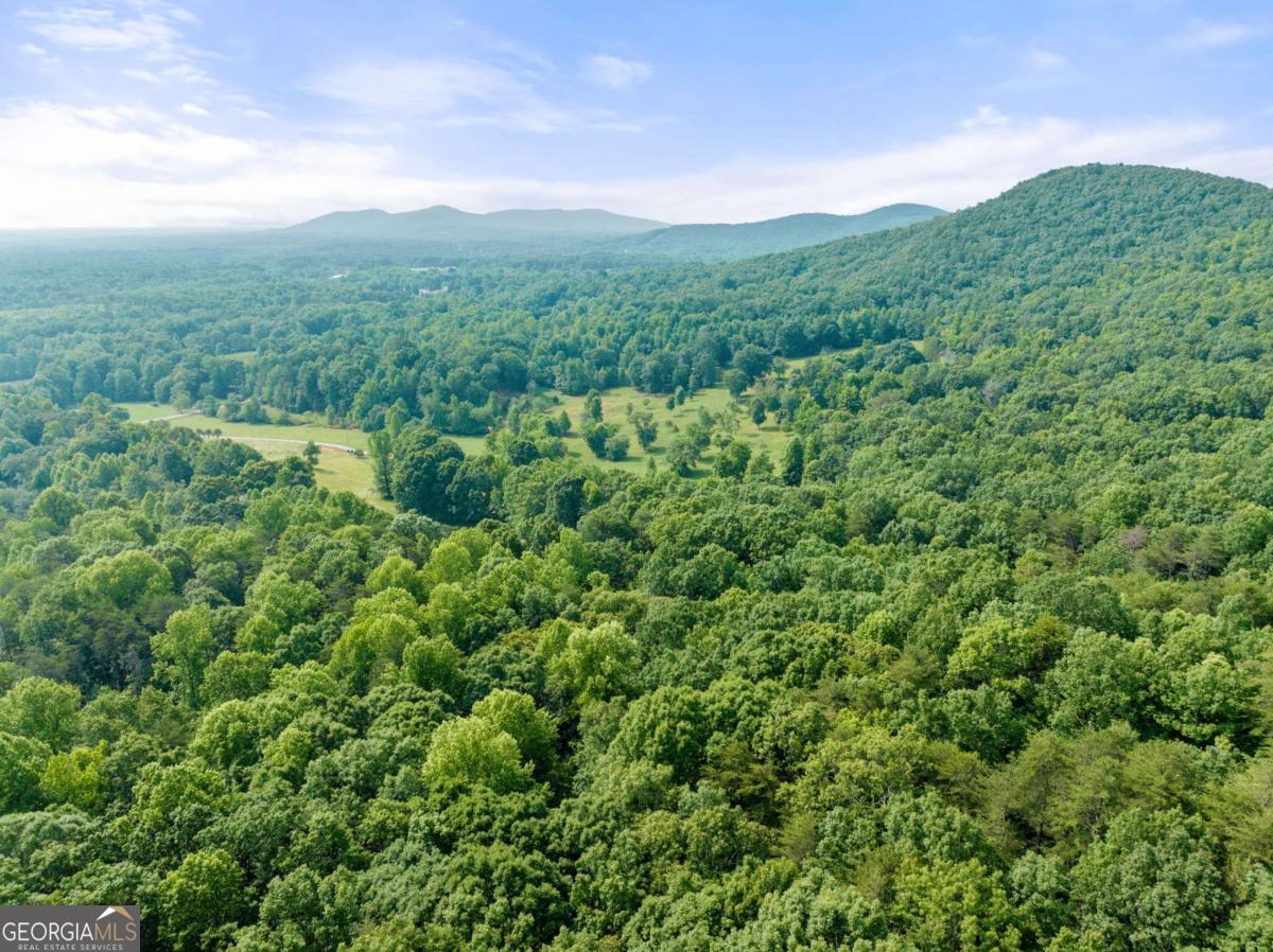 Forest Ridge Estates - Land