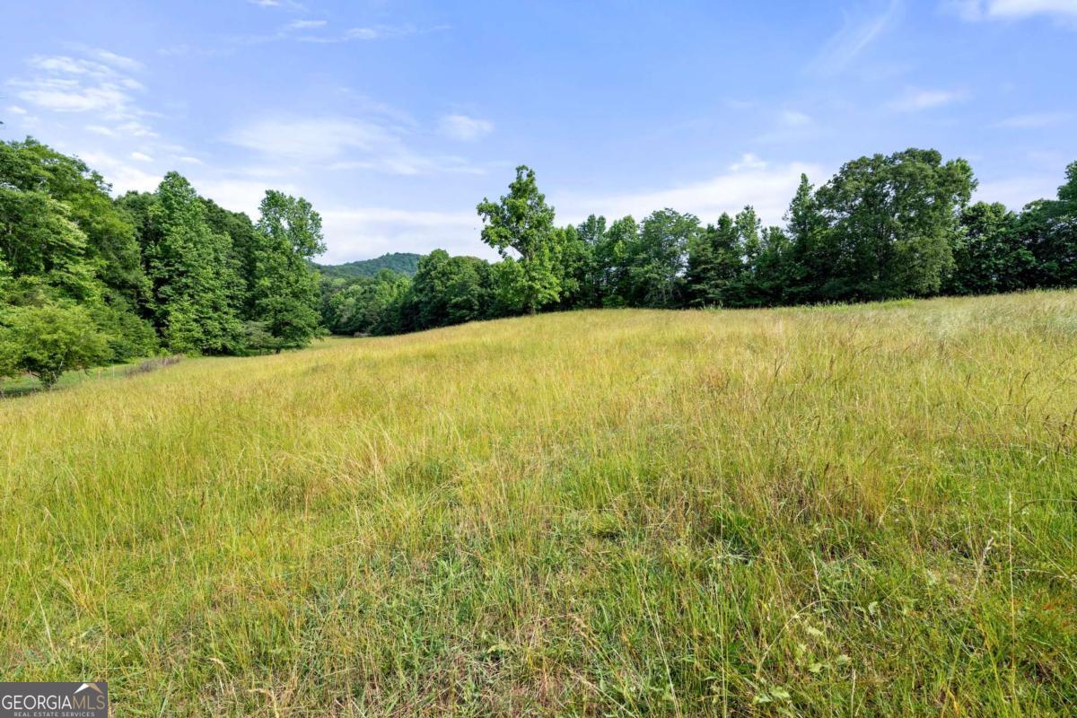 Forest Ridge Estates - Land