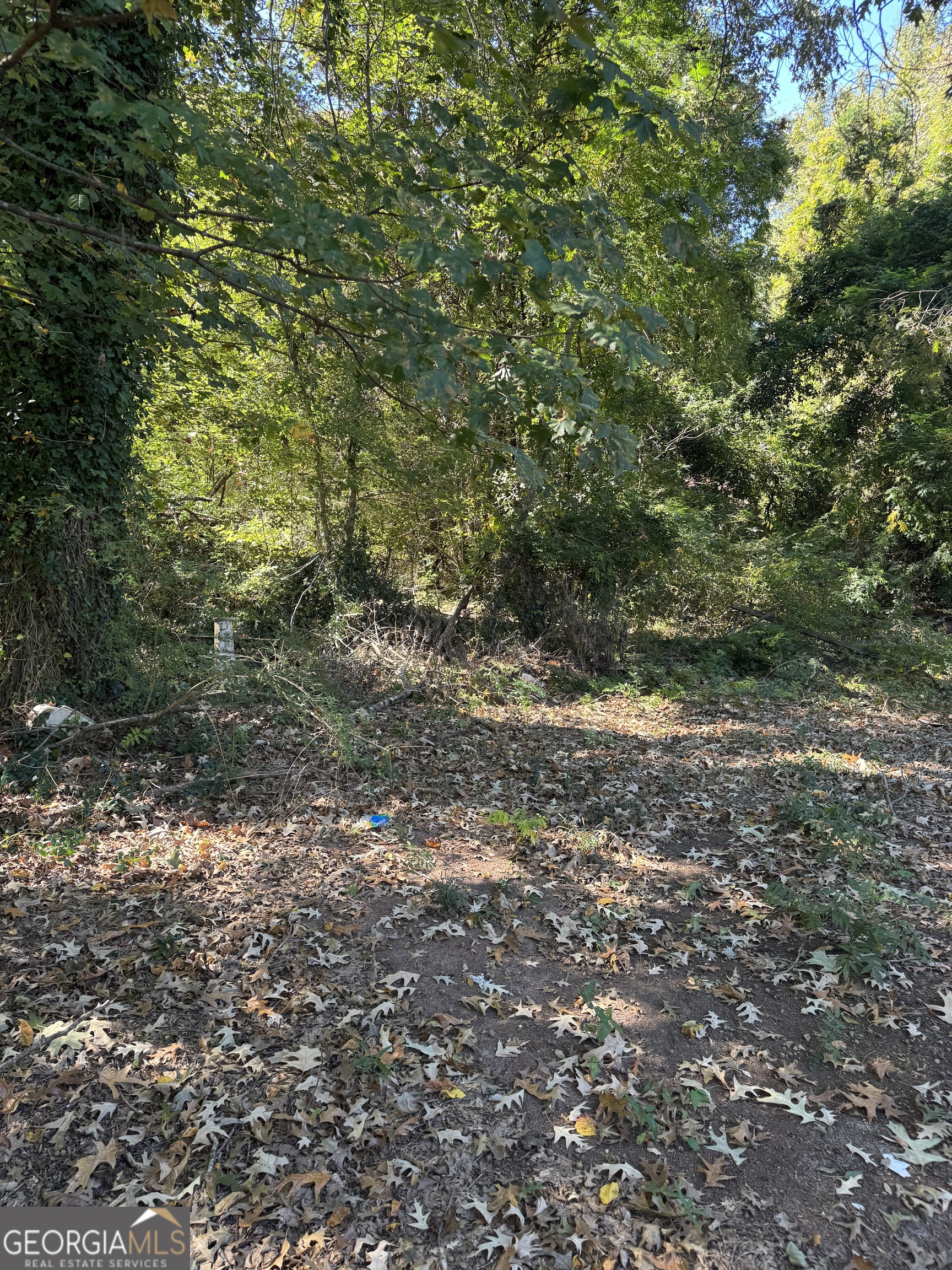 Stockbridge, Georgia 30281, United States, ,Land,Active,231969