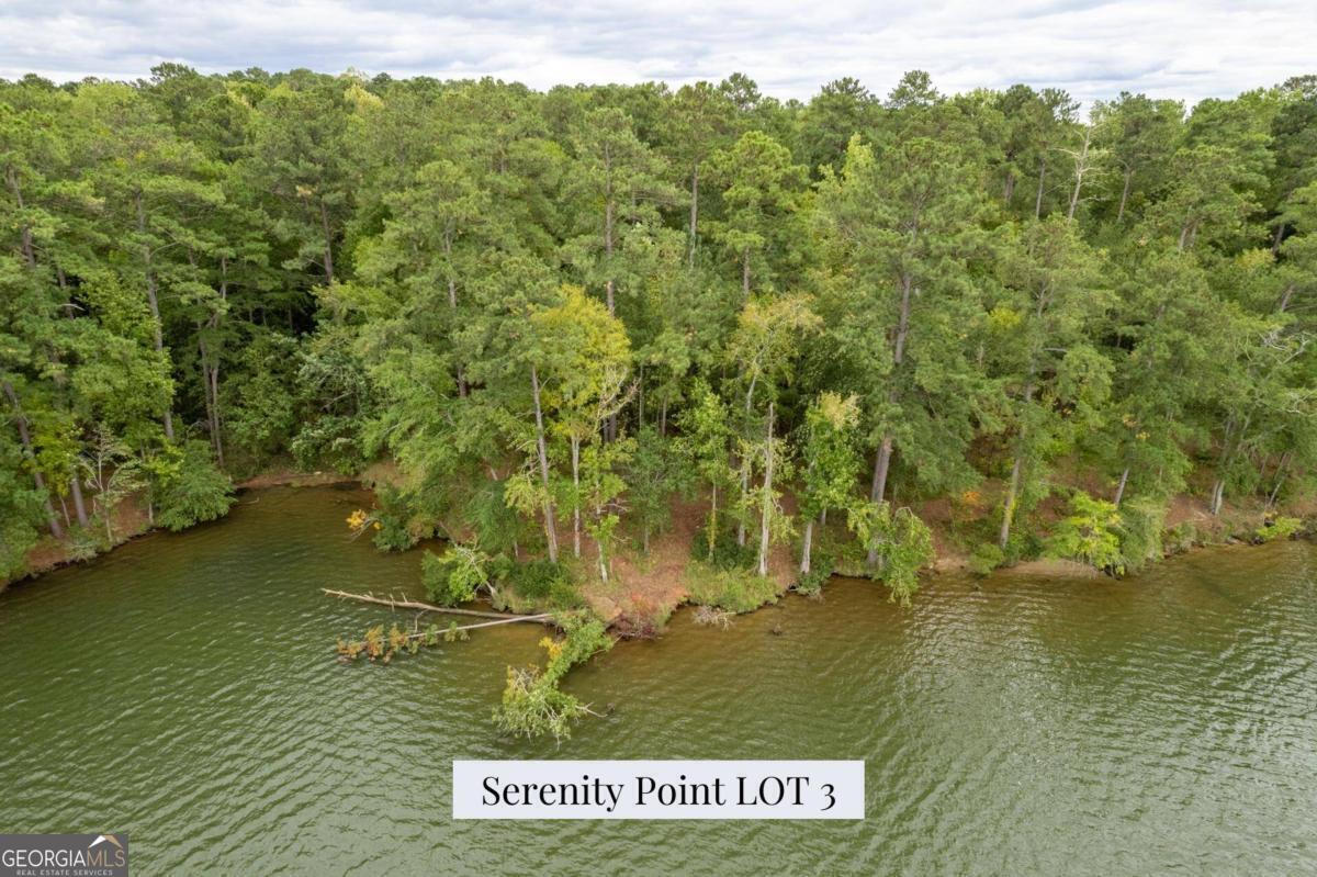 Here is your chance to be a part of something special. Serenity Point is Lake Sinclair's newest lakefront subdivision. Consisting of ten newly-released lakefront lease lots, Serenity Point boasts sprawling lake views, phenomenal boating and fishing opportunities, and all the pleasures that lake life brings. Conveniently located less than ten minutes from the area's best dining, retail shopping and grocery stores, you do not have to compromise on lake life and convenience. Each lot offers well over 100 feet of shoreline making them eligible for a double stall boathouse. Seeking tranquility and peace of mind? Since short-term rentals are not permitted at Serenity Point, you can rest assured your investment isn't burdened with new neighbors every weekend. Serenity Point is destined to be one of Lake Sinclair's most sought after neighborhoods. Don't let this moment pass, call today to learn how you can be a part of this incredible opportunity! Lot 3 & 4 merge at the shoreline creating an intimate cove. Lot 3 rests on 1.08 and provides 134 feet of shoreline.