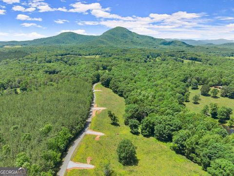 Photo of 0 Arthur Allen Road, Cleveland, GA 30528 (MLS # 10778317)