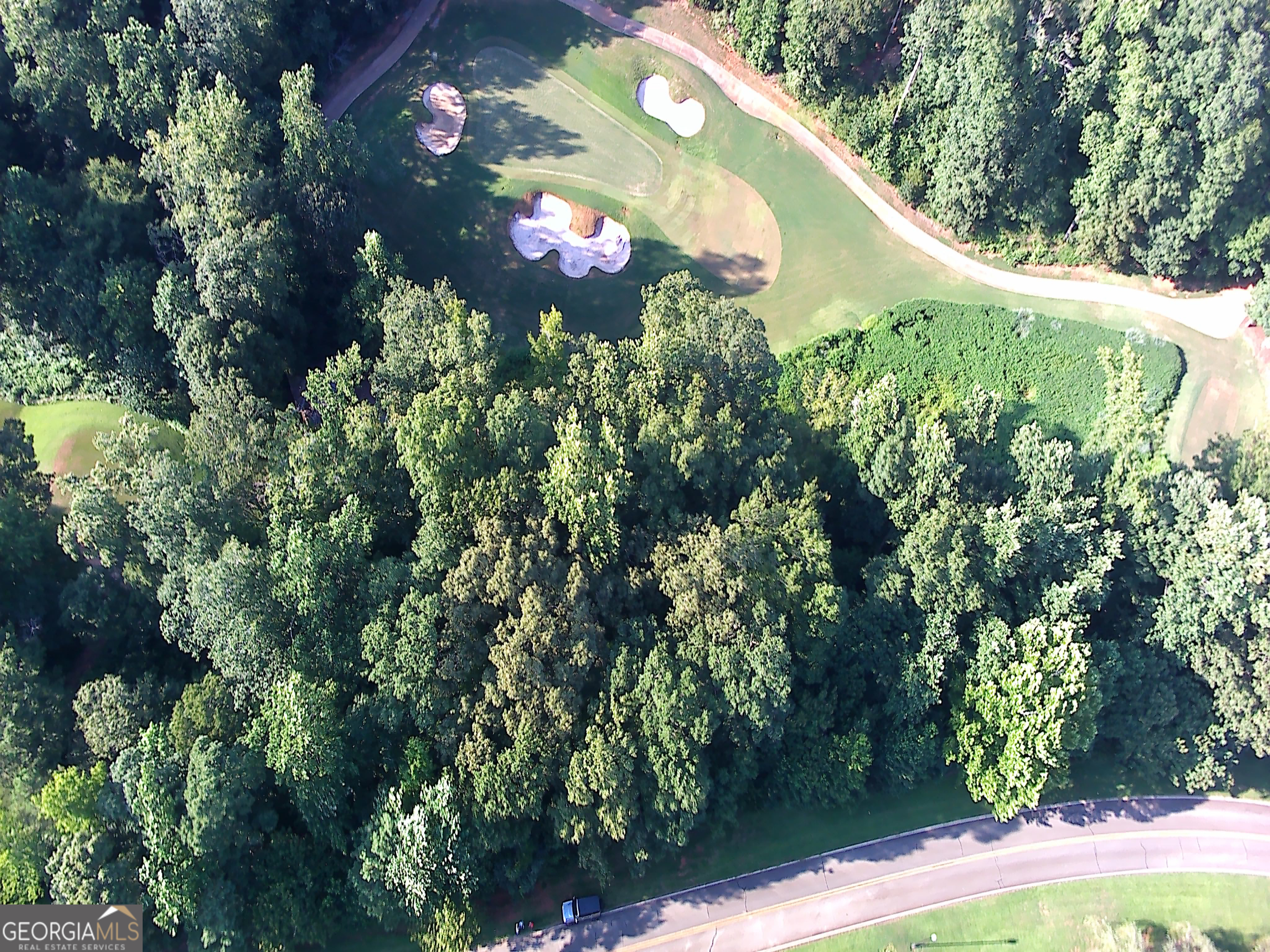 Build your dream home on this beautiful golf course lot in the prestigious gated community of River Forest! Located near the front gate and just 10 minutes from charming downtown Forsyth, this prime lot offers easy access to Macon, Atlanta, and all the amenities that make River Forest a standout. Enjoy championship golf, a full-service clubhouse, parks, trails, swim, tennis, pickleball, and more - all in a vibrant, family-friendly setting. Perfect for golf enthusiasts seeking luxury, community, and natural beauty in one exceptional location.
