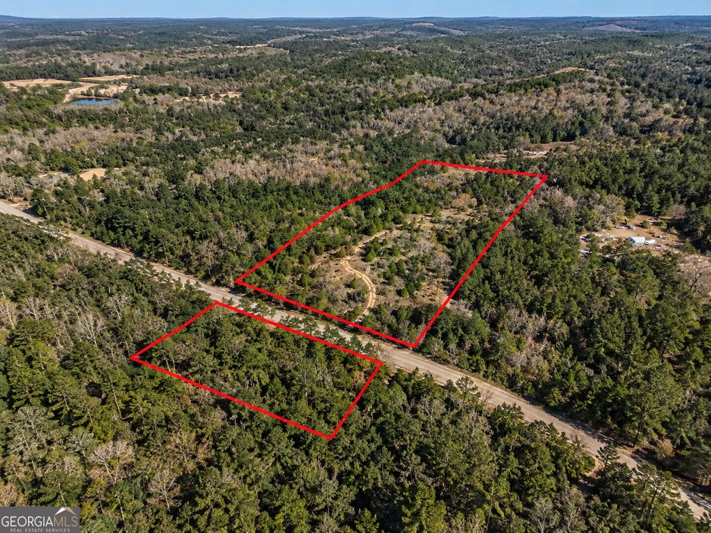 Photo of 786 Gun Club Rd, Box Springs, GA 31801 (MLS # 10850173)