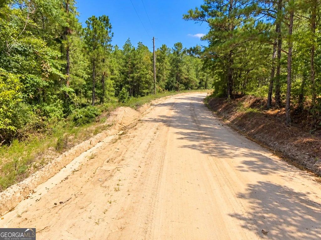 Photo of 786 Gun Club Rd, Box Springs, GA 31801 (MLS # 10850173)
