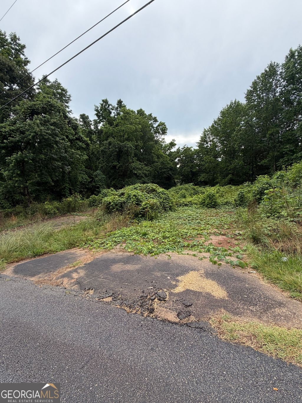 Photo of 2936 Bridge Drive, Gainesville, GA 30506 (MLS # 10769701)