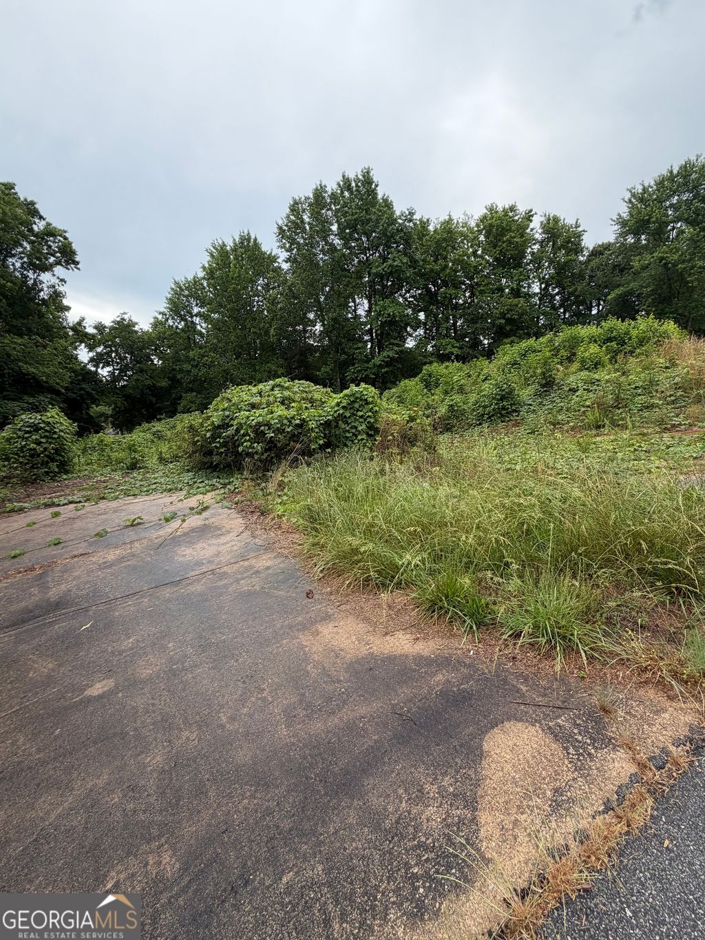 Photo of 2936 Bridge Drive, Gainesville, GA 30506 (MLS # 10769701)