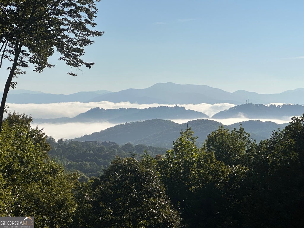 Photo of 579 Overlook Circle, Young Harris, GA 30582 (MLS # 10835800)