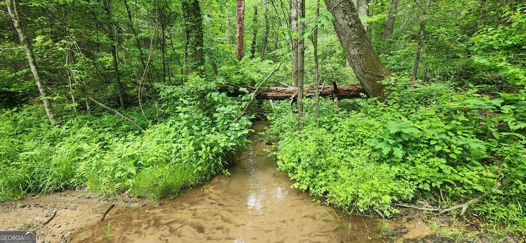 Photo of 13 Goose Island Road, Ellijay, GA 30540 (MLS # 10761378)