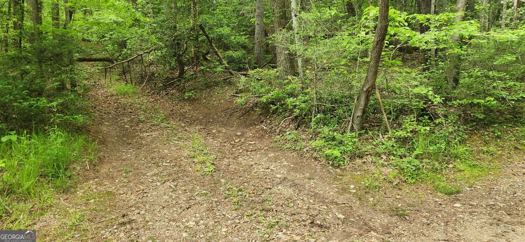 Photo of 13 Goose Island Road, Ellijay, GA 30540 (MLS # 10761378)