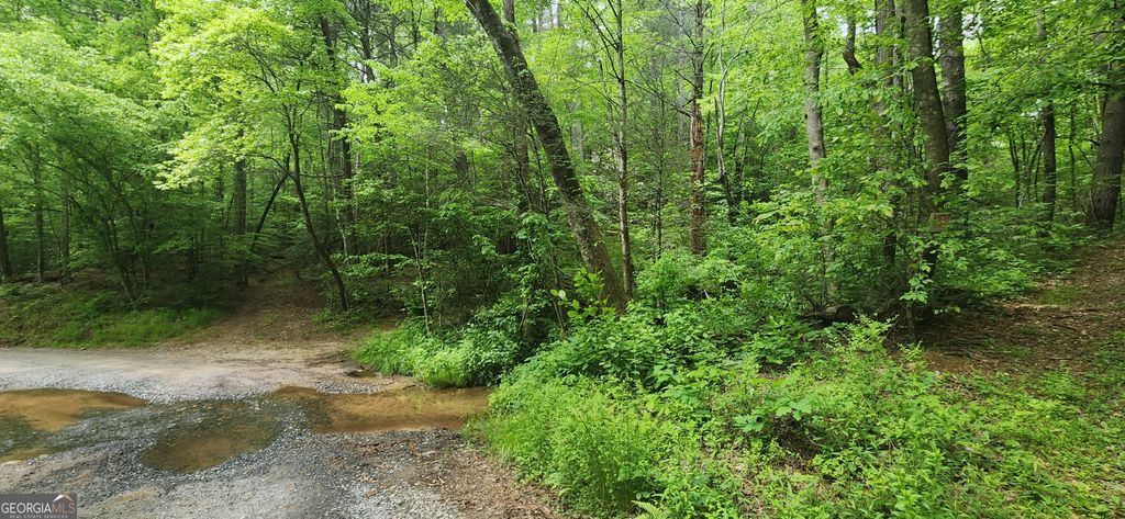 Photo of 13 Goose Island Road, Ellijay, GA 30540 (MLS # 10761378)
