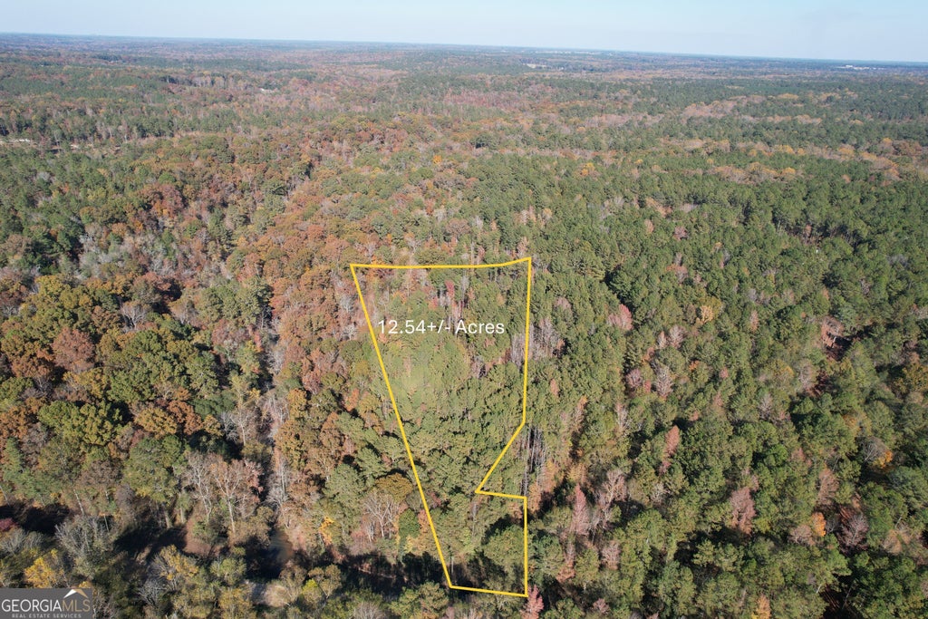 Photo of 11503 McDonald Road, Covington, GA 30014 (MLS # 10837821)