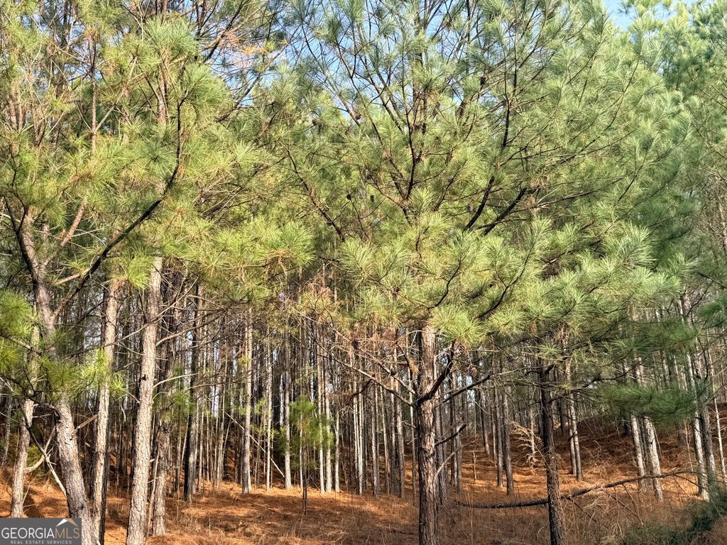 Photo of 1573 Norris Lake Way, Snellville, GA 30039 (MLS # 10676923)