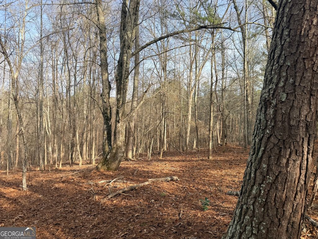 Photo of 1573 Norris Lake Way, Snellville, GA 30039 (MLS # 10676923)