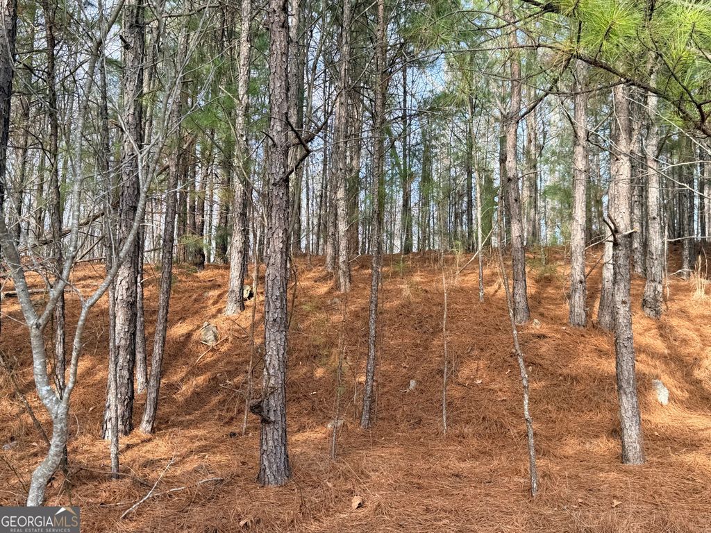 Photo of 1573 Norris Lake Way, Snellville, GA 30039 (MLS # 10676923)