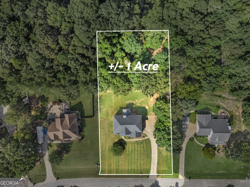 Photo of 206 Liberty Trace, Milner, GA 30257 (MLS # 10849679)