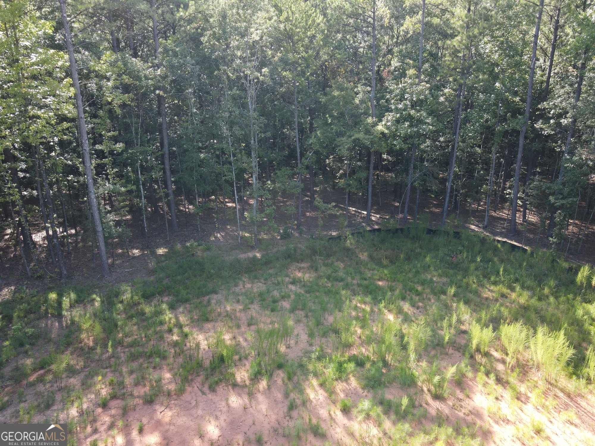 LOT 3 Cecil Hunter RD