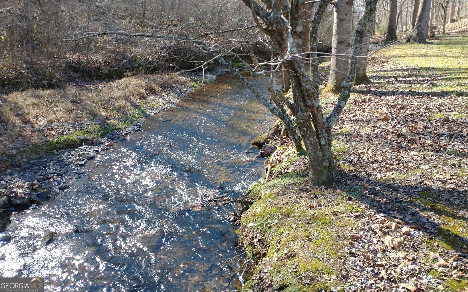 #15A Mossy Oaks Lane