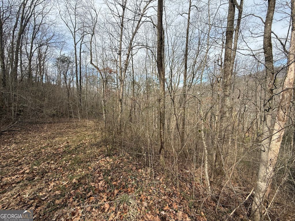 Photo of 15 Mossy Oaks Lane, Hiawassee, GA 30546 (MLS # 10710032)