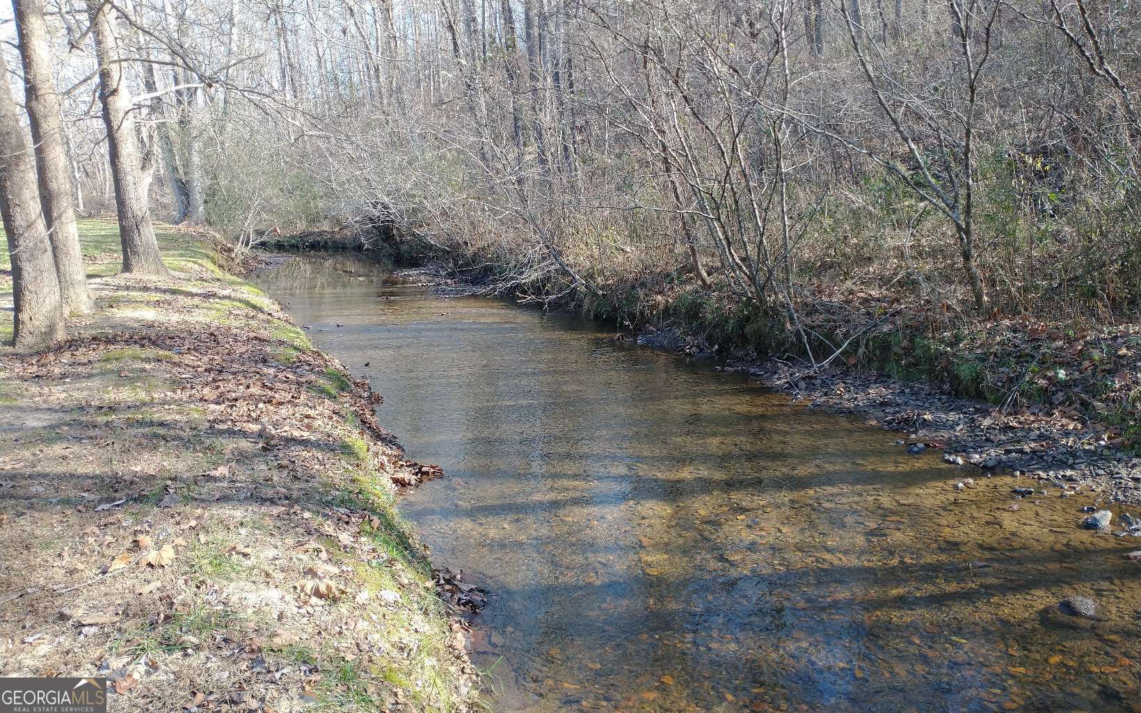 #15A Mossy Oaks Lane