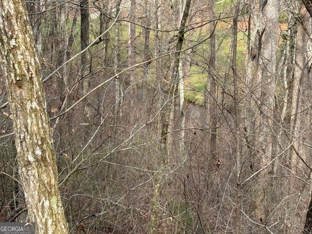 Photo of 15 Mossy Oaks Lane, Hiawassee, GA 30546 (MLS # 10710032)