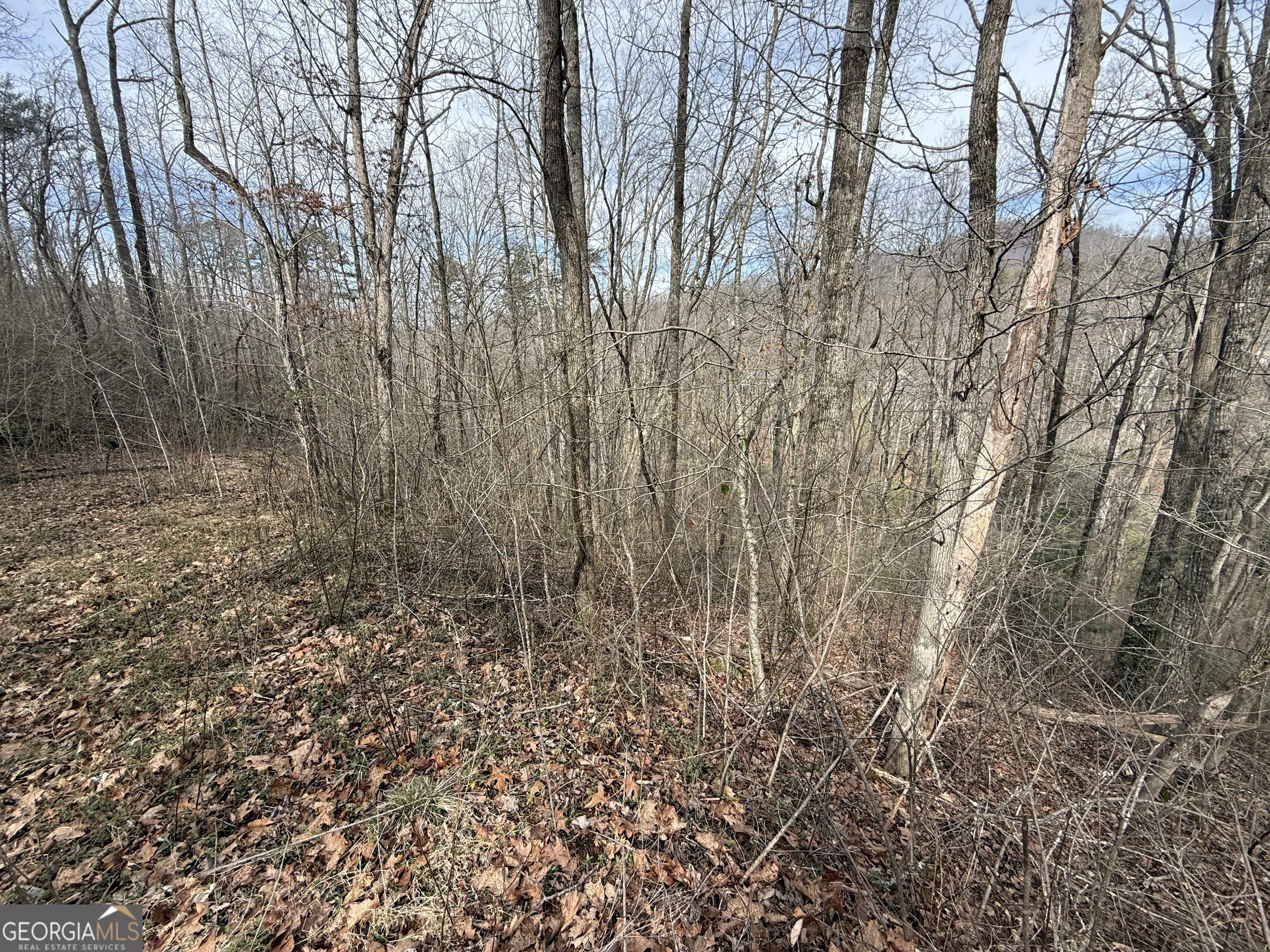 #15A Mossy Oaks Lane