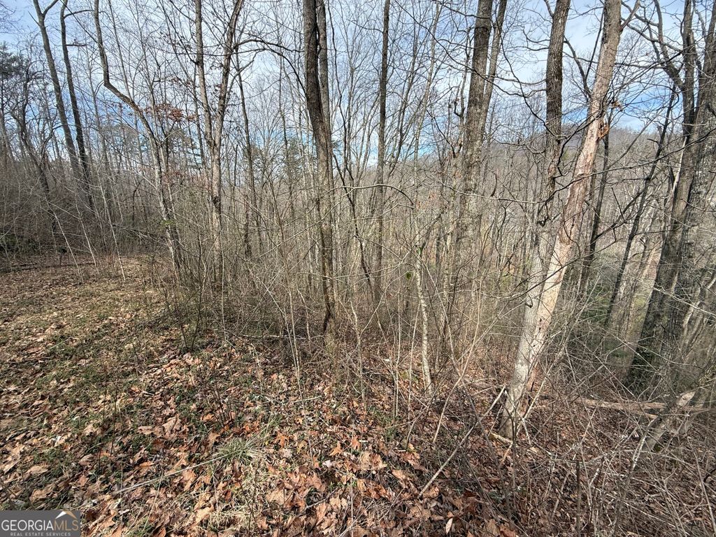 Photo of 15 Mossy Oaks Lane, Hiawassee, GA 30546 (MLS # 10710032)