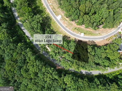 Photo of 1040 Lupo Loop #554, Chattahoochee Hills, GA 30268 (MLS # 10121145)