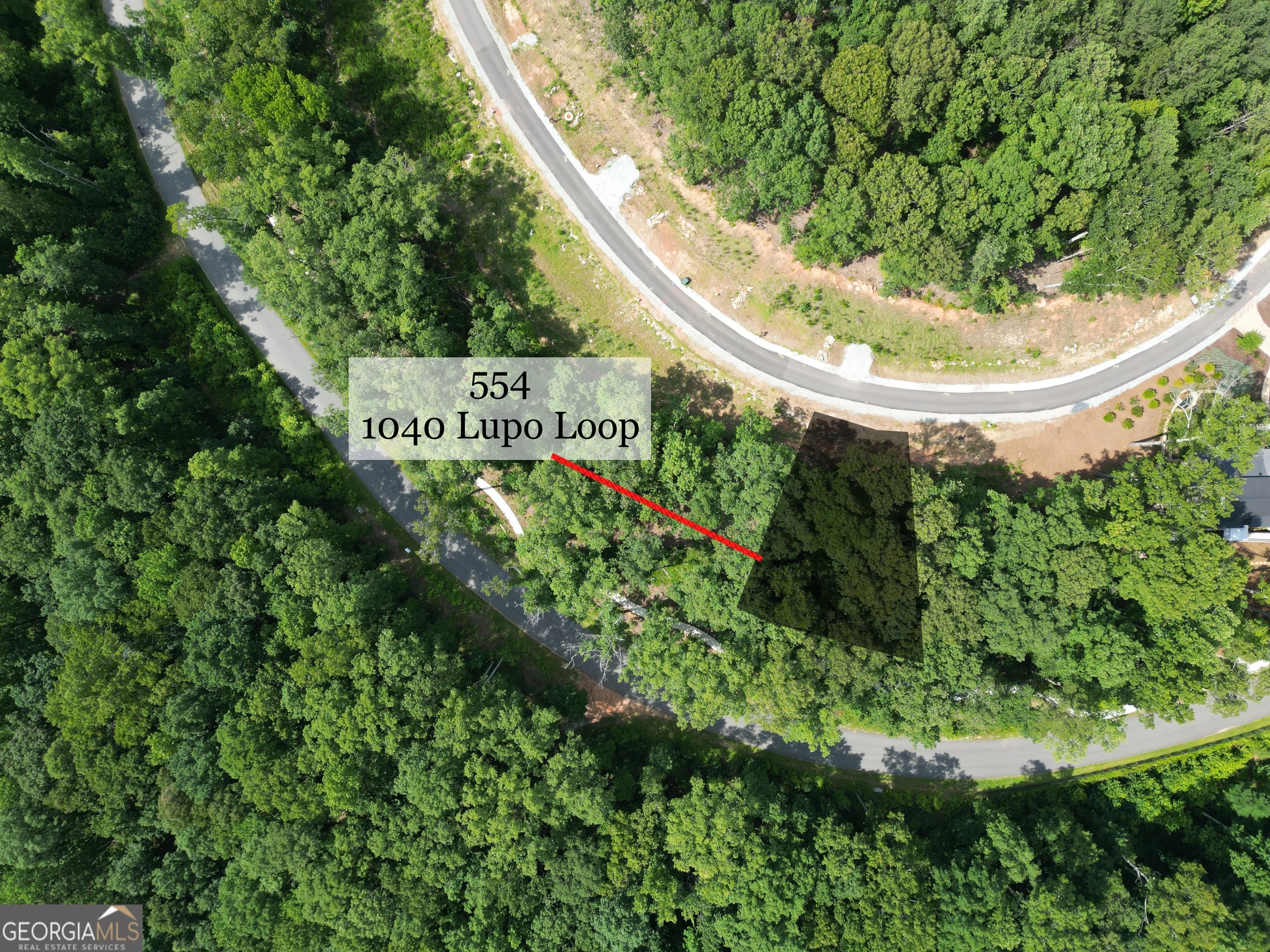1040 Lupo Loop Unit 554