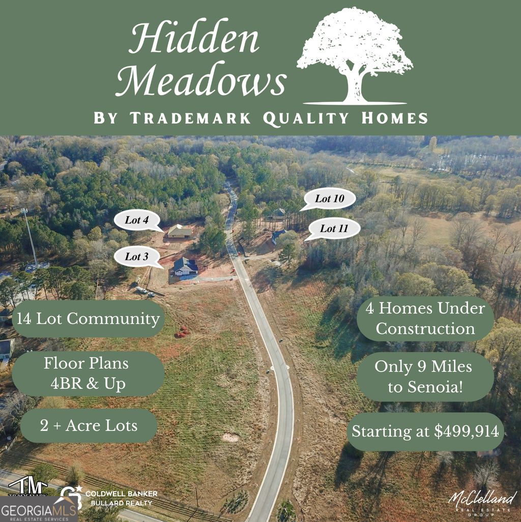 Photo of 123 Hidden Meadows Drive, Gay, GA 30218 (MLS # 10650124)