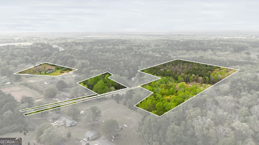 Photo of 555 Highway 3 N, Hampton, GA 30228 (MLS # 10775552)