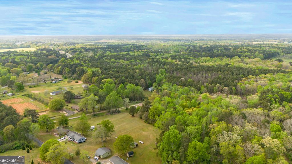 Photo of 555 Highway 3 N, Hampton, GA 30228 (MLS # 10775552)
