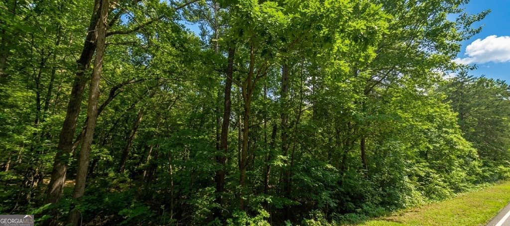 Photo of 0 Ridgemore Circle #LOT 12 AND 8A, Toccoa, GA 30577 (MLS # 10825235)