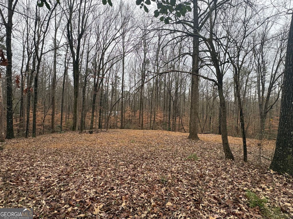 Photo of 910 Lewis Drive, Lavonia, GA 30553 (MLS # 10654503)