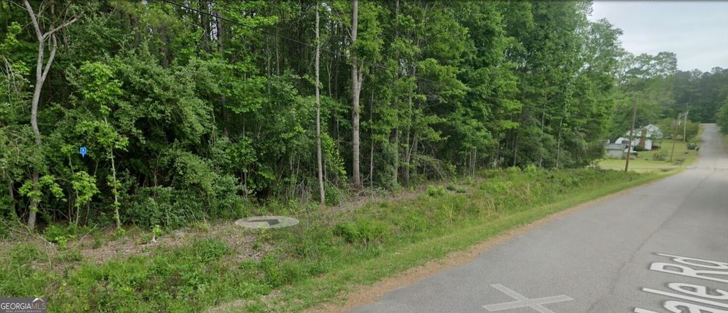 Photo of 61 Hale Road, Hogansville, GA 30230 (MLS # 10661298)