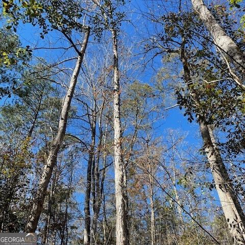 Photo of 0 Pineville Road #100+/- ACRES, Buena Vista, GA 31803 (MLS # 10625546)