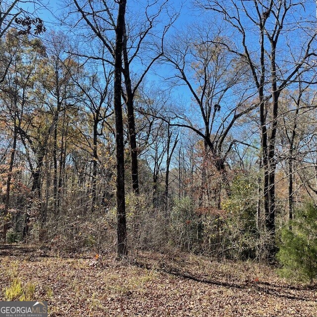 0 Pineville RD 100+/- ACRES