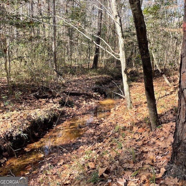 0 Pineville RD 100+/- ACRES