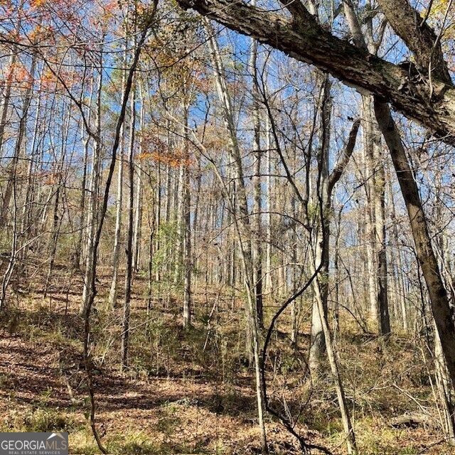 0 Pineville RD 100+/- ACRES