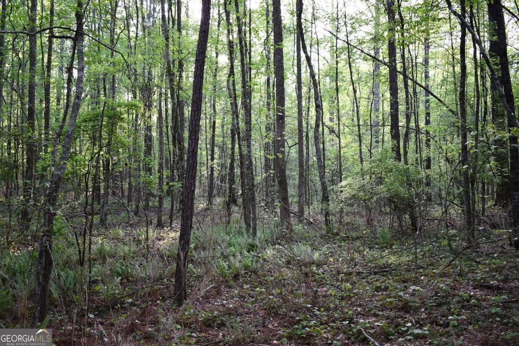 Photo of 4 Windridge Lane, Temple, GA 30179 (MLS # 10757383)