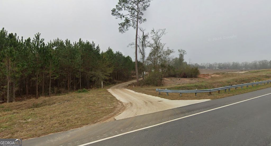 Photo of 0 Old Doerun Road, Co, GA 31768 (MLS # 10770070)