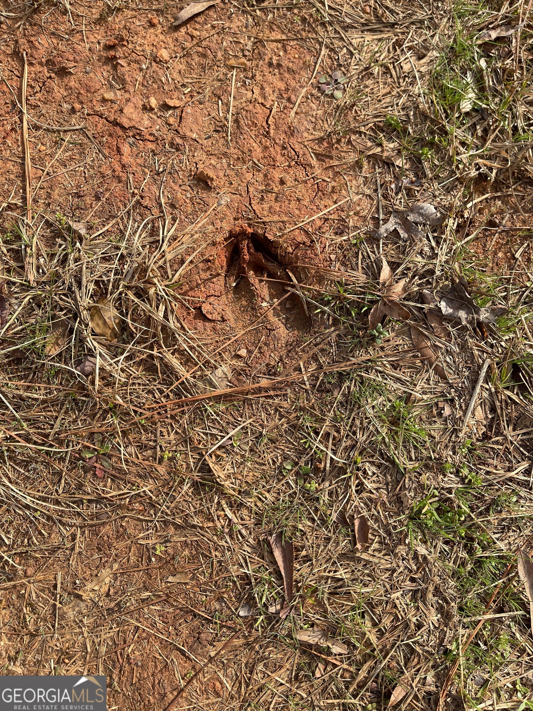 Eatonton, Georgia 31024, United States, ,Land,Pending,25870