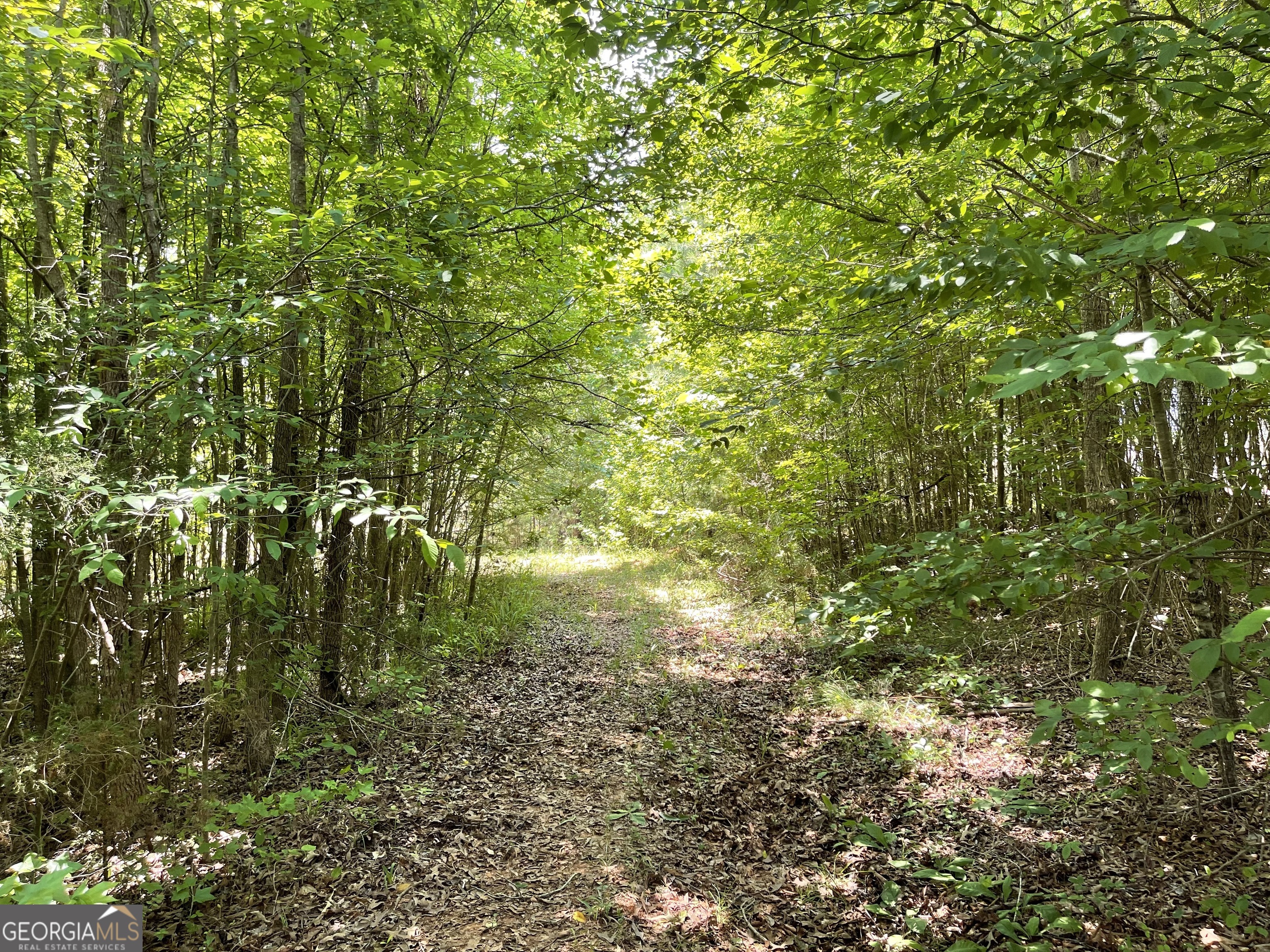 Eatonton, Georgia 31024, United States, ,Land,Pending,25870