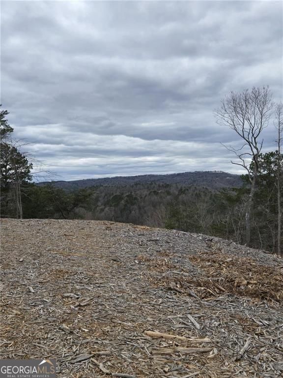 Discover 3.51 acres of mountain serenity in Creekside Crossing, Talking Rock! This beautiful lot offers breathtaking mountain views, making it the perfect setting for your dream retreat. As part of the Creekside Crossing community, you'll enjoy access to UTV trails, pavilions with firepits, and a stunning infinity pool with panoramic mountain vistas. Plus, the community offers direct access to Talking Rock Creek, ideal for fishing, kayaking, or simply unwinding by the water. Embrace the best of mountain living with this scenic and adventure-filled property!