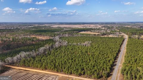 Photo of 0 Herrington Road, Baxley, GA 31513 (MLS # 10654515)