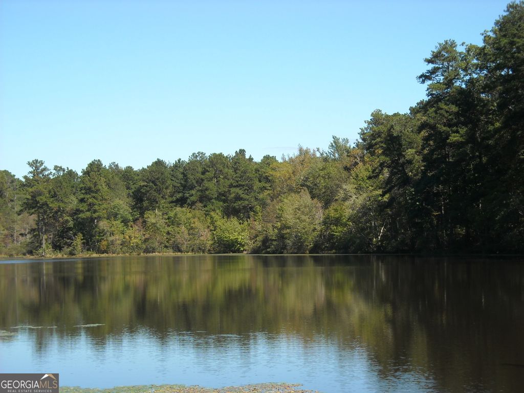 Photo of 4 Rivers Road, Fayetteville, GA 30214 (MLS # 10699264)
