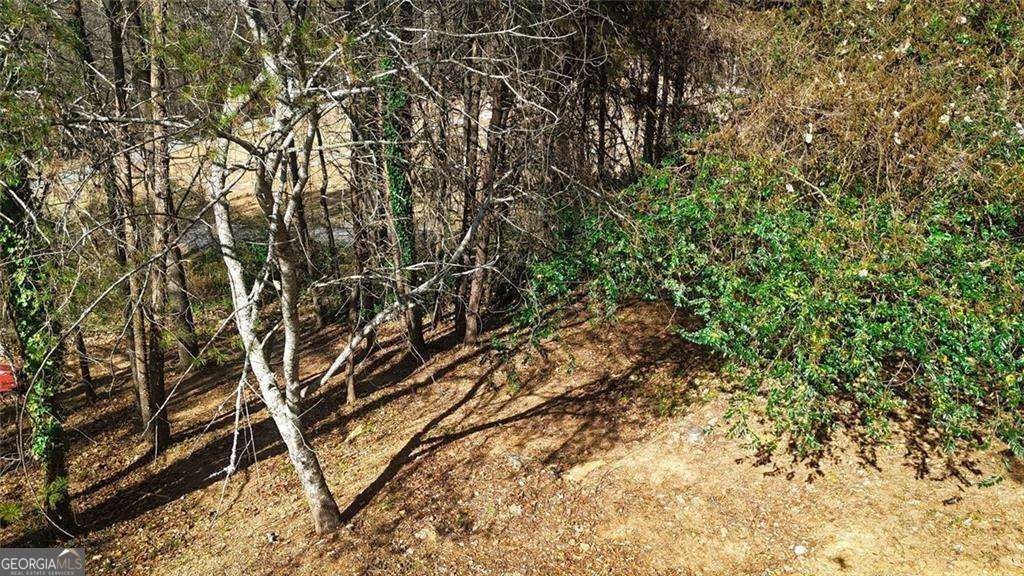 Photo of 117 Turner Road, Dahlonega, GA 30533 (MLS # 10724124)