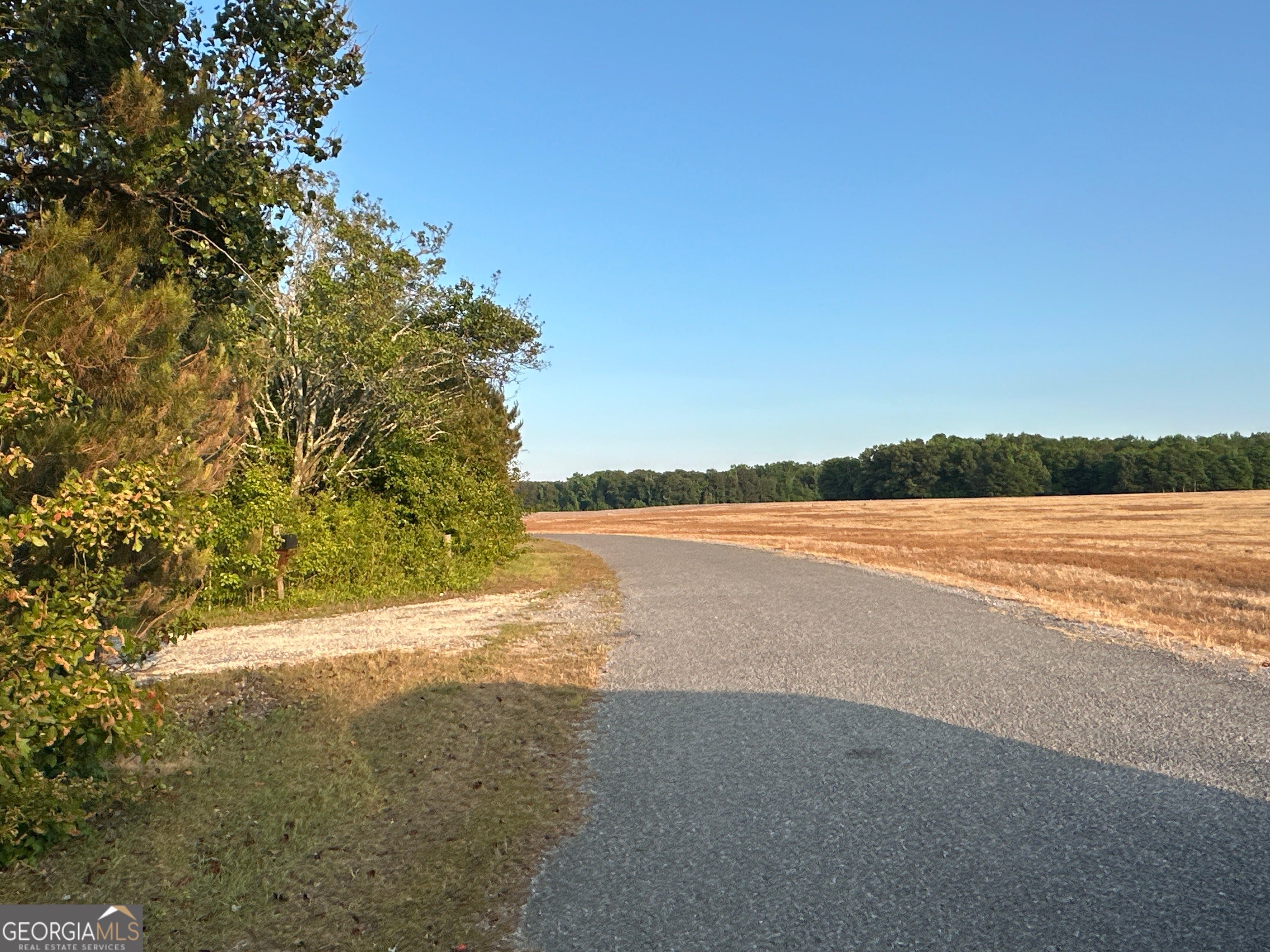 LOT 8 County Road 520