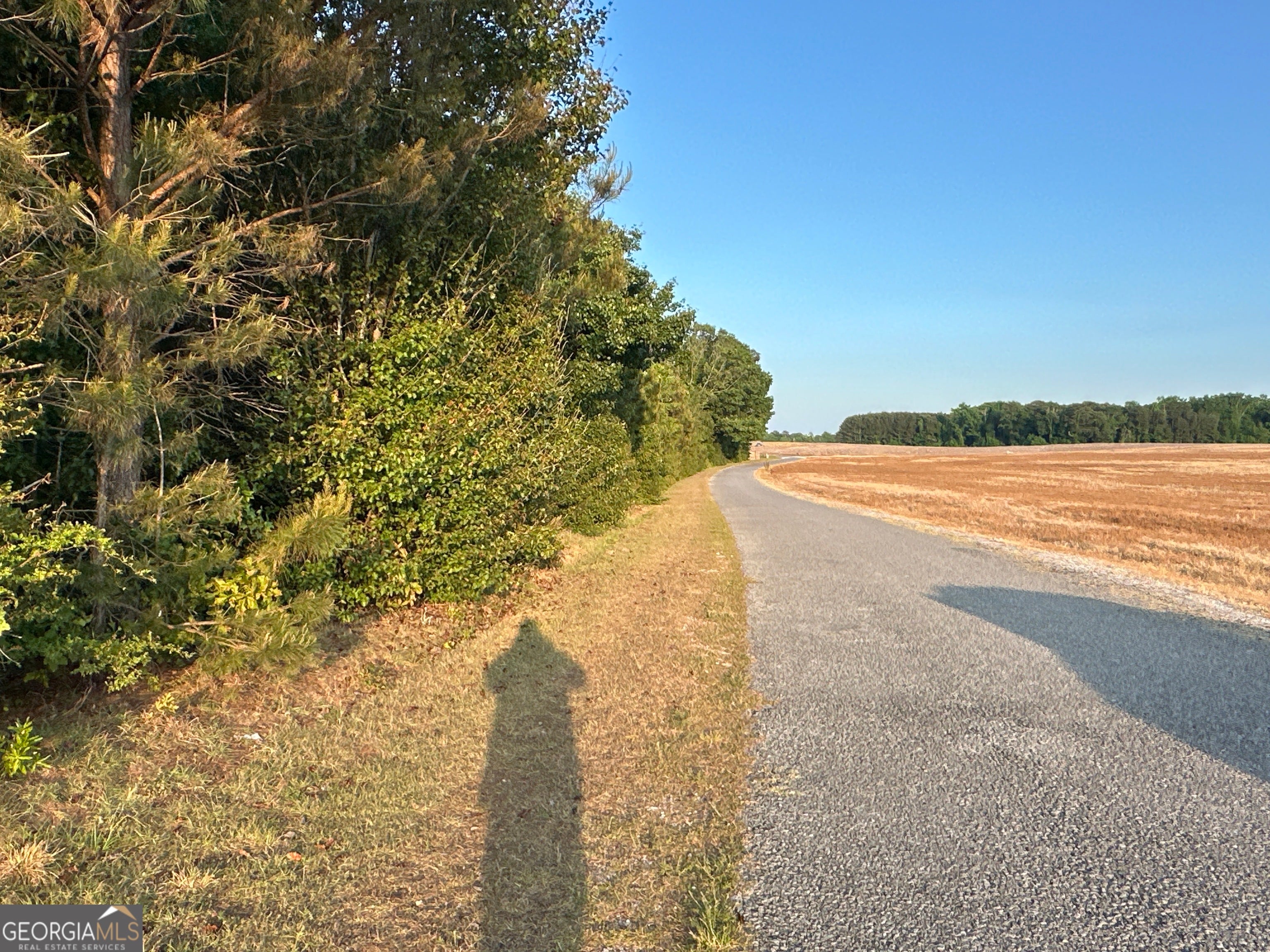 LOT 8 County Road 520